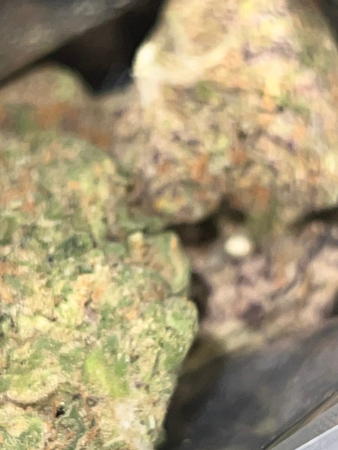 Customer photo review of Gas Basket Exotic THCA Mediums