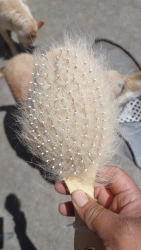 Customer photo review of CT8379 1 Pieza Cepillo Doble Cara Para Aseo