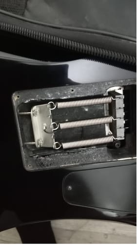 Customer photo review of Set Tornillos Placa/Pickguard Negros