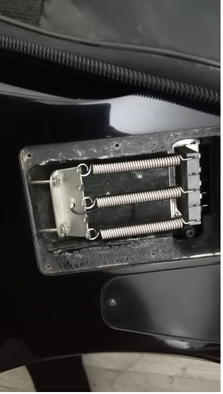 Customer photo review of Set Tornillos Placa/Pickguard Negros