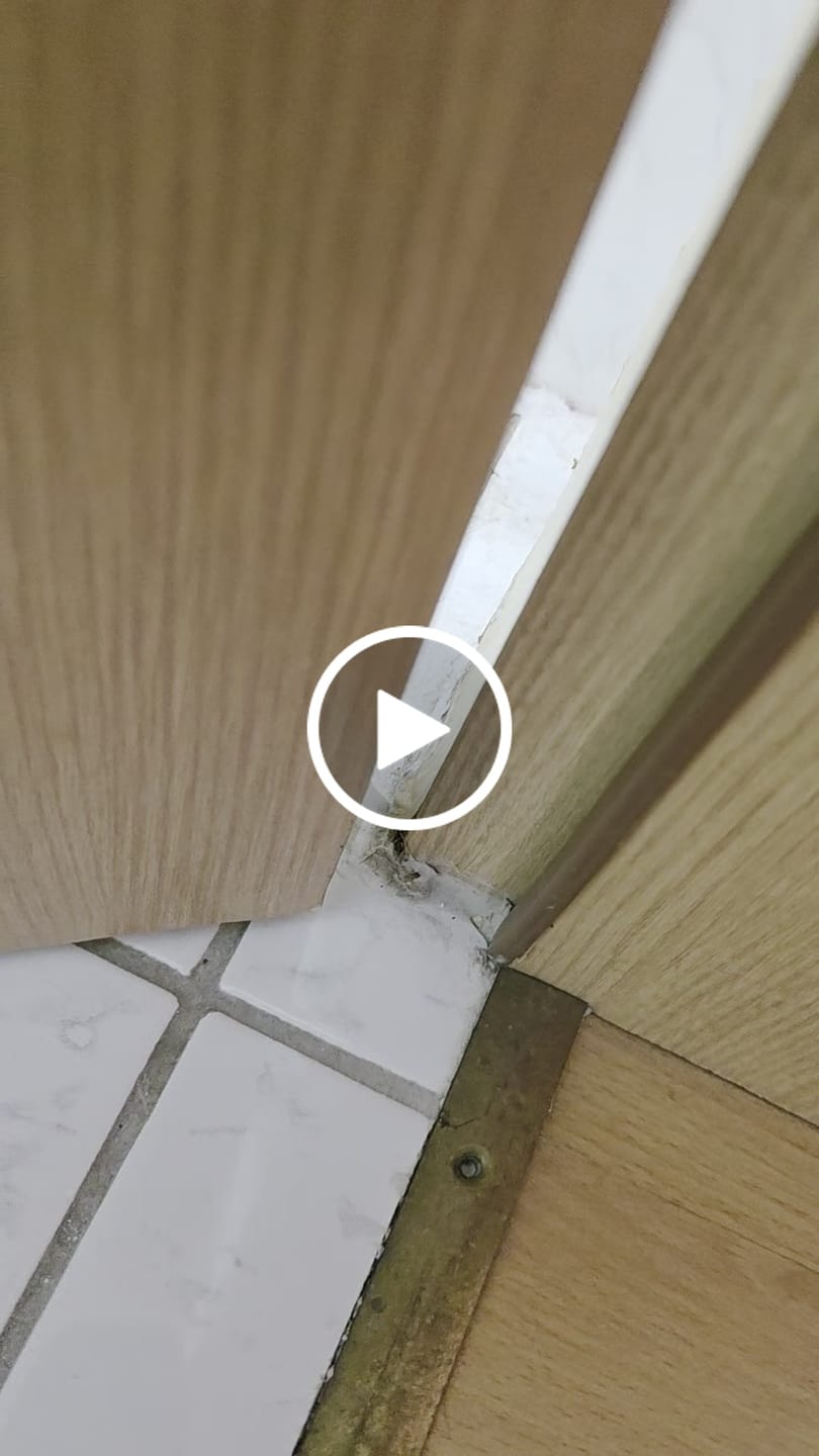 Customer video review of Ameisen-Köderdose