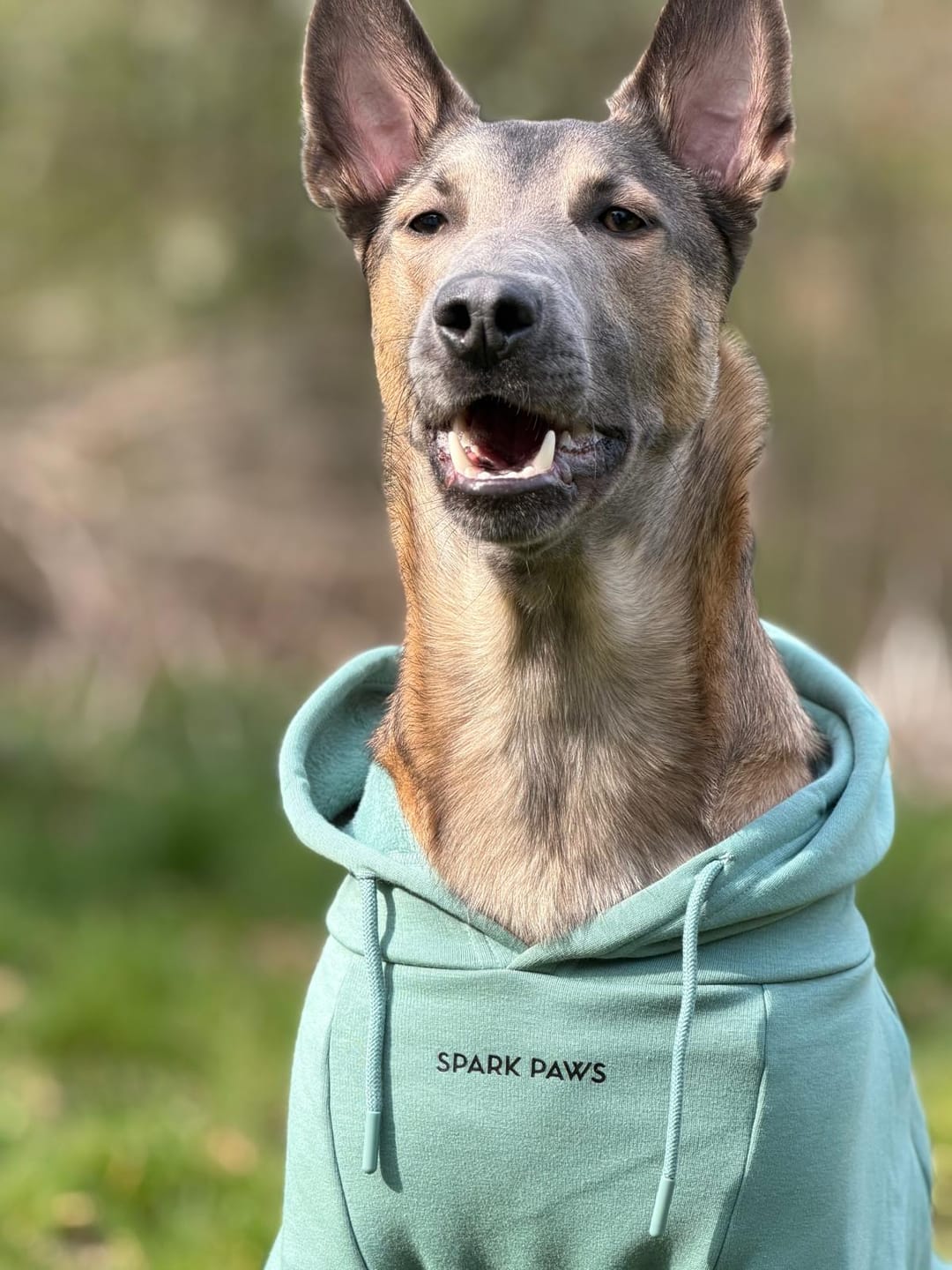 Customer photo review of Essential Dog Hoodie - Teal