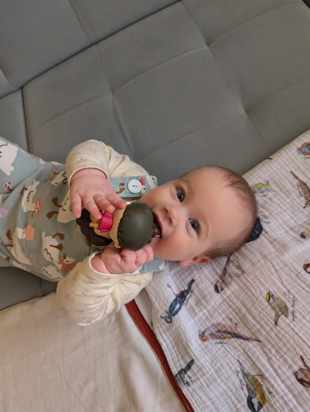 Customer photo review of Átmeneti takaró - Kiskunsági virágzás