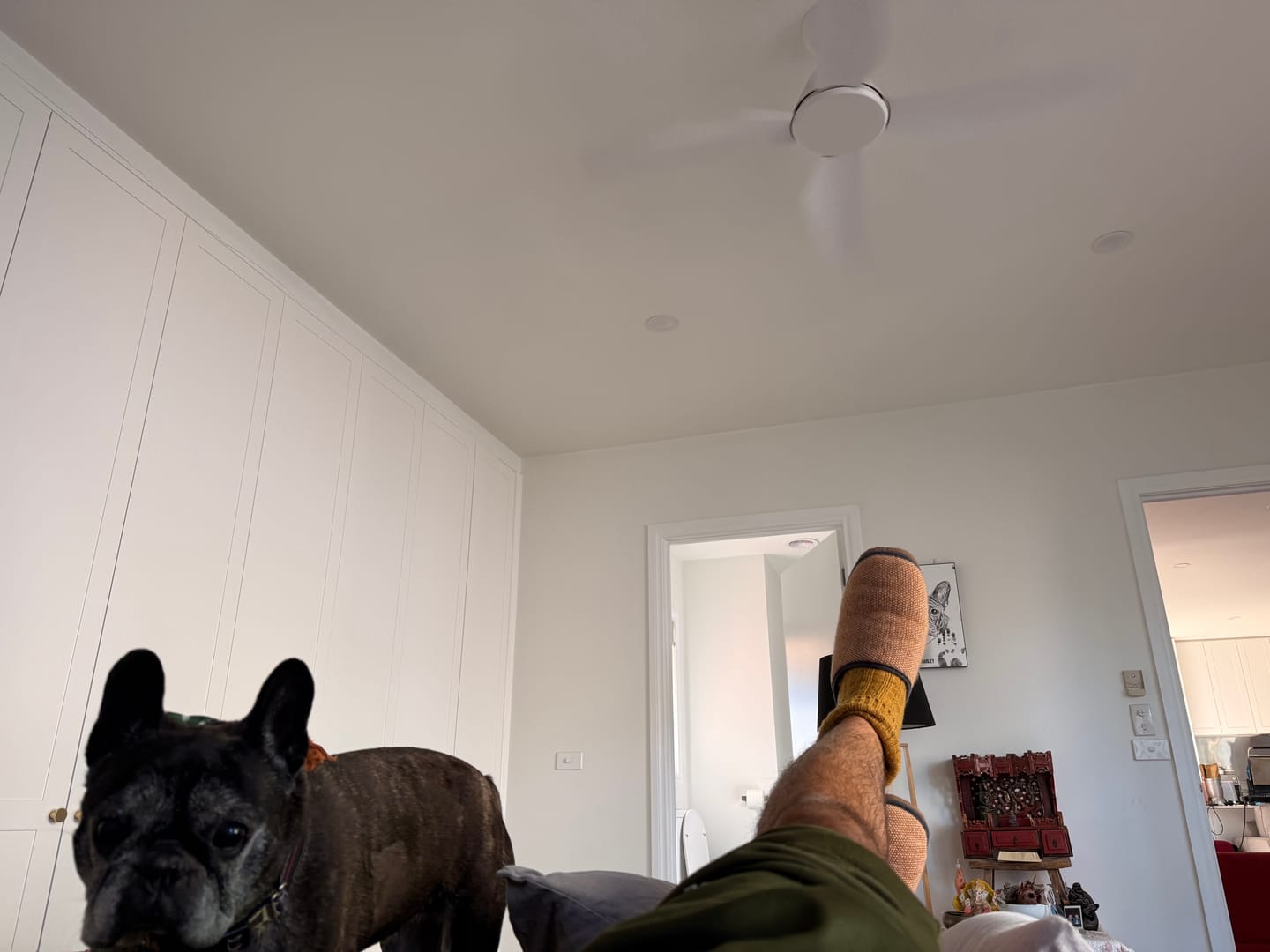Customer photo review of Mustard Check Lambswool & Sheepskin Slippers