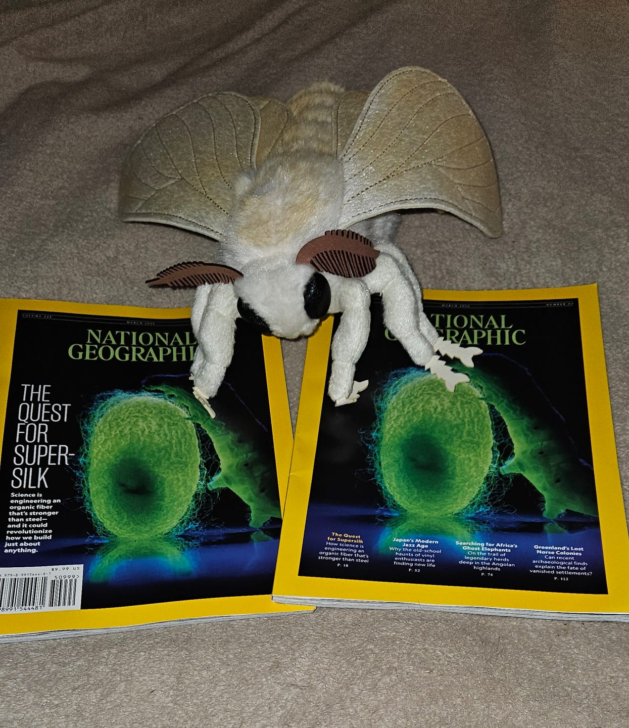 Customer photo review of Silkworm Moth Soft Stuffed Plush Toy