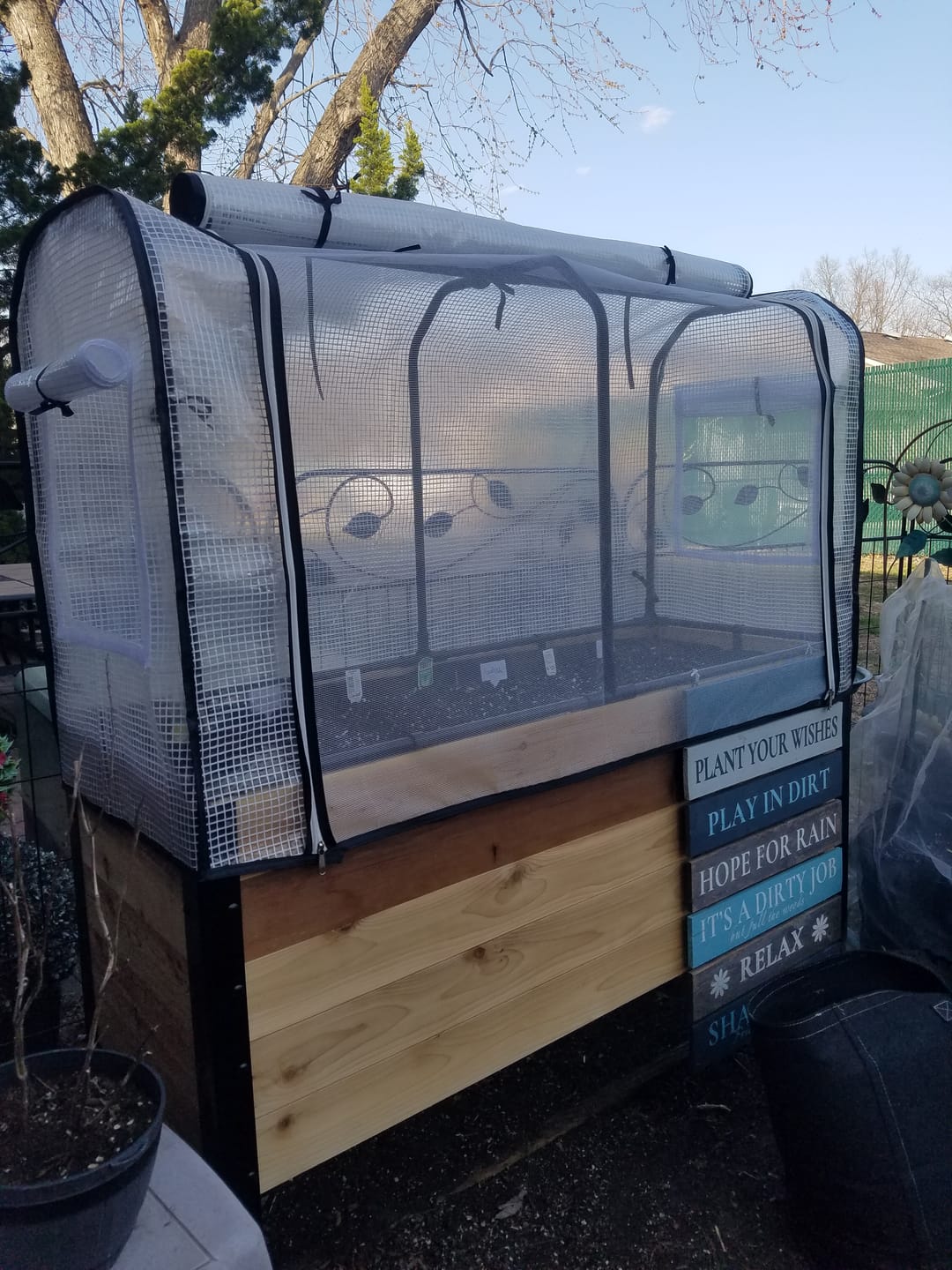 Customer photo review of Greenhouse Cover