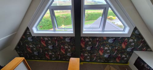 Customer photo review of Yasuni - Green - Last Roll