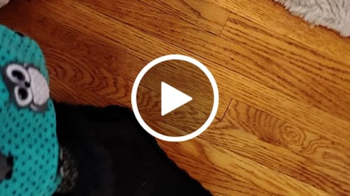 Customer video review of KATE BLACK/BLACK