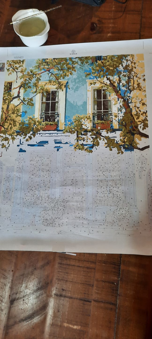 Customer photo review of The Blue Bookshop | Paint by Number