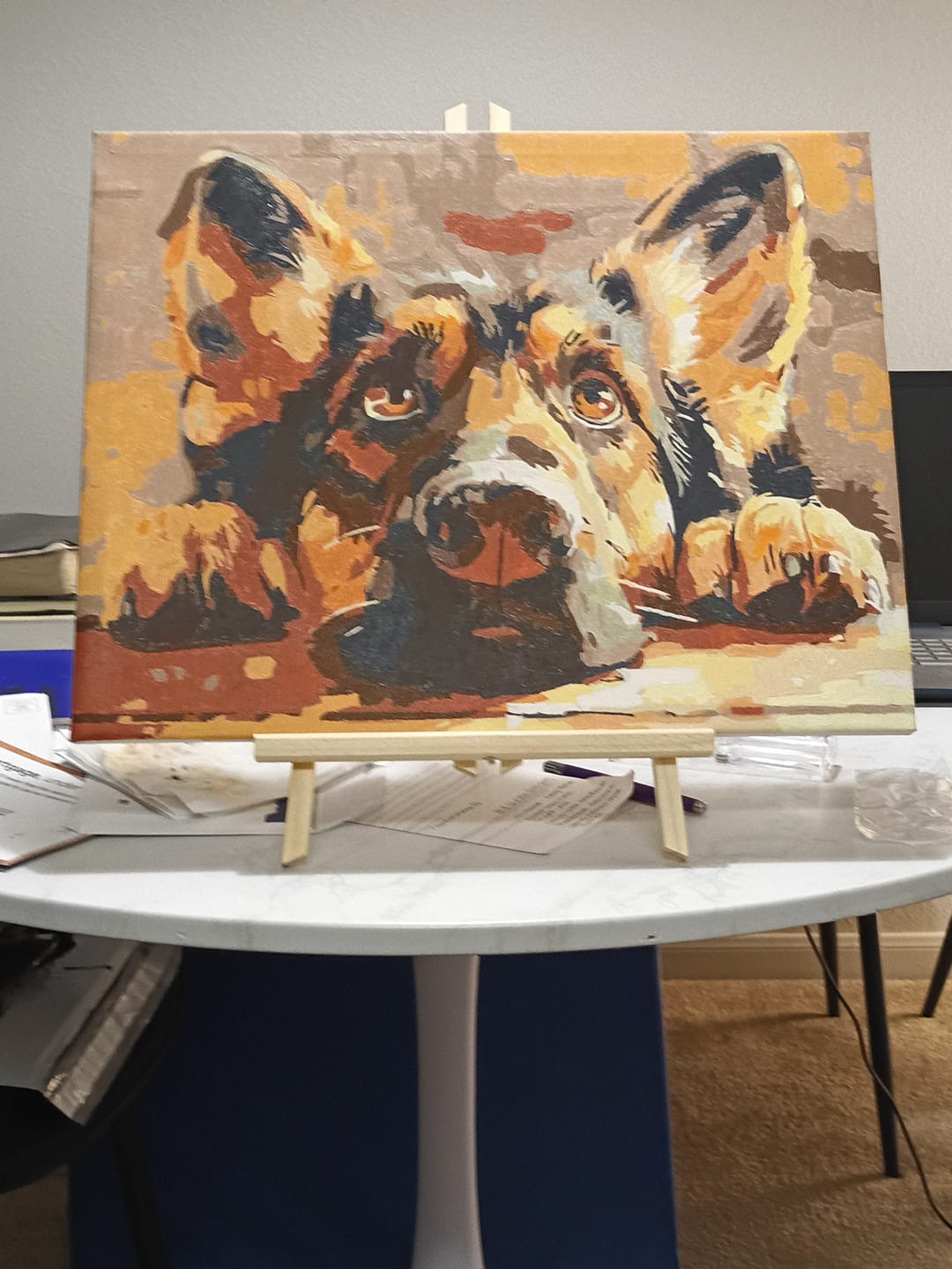 Customer photo review of Bored Shepherd