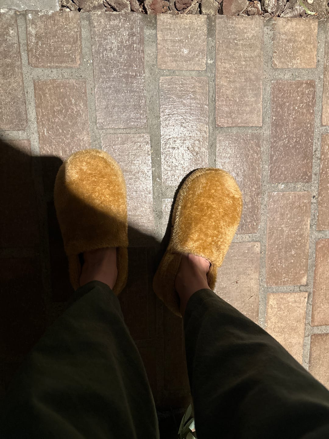 Customer photo review of Cloud Slides - Ember