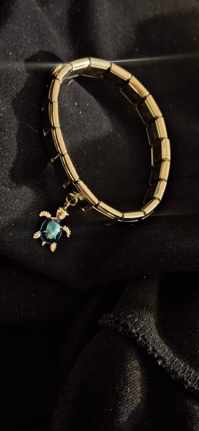 Customer photo review of Charm Tortuga