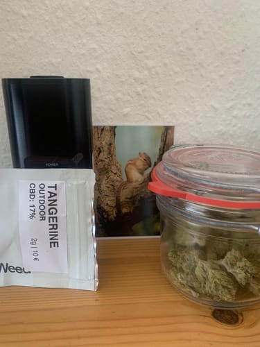 Customer photo review of Tangerine - Outdoor