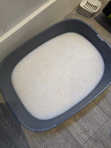 Customer photo review of 1 Month Supply – 2 Cat