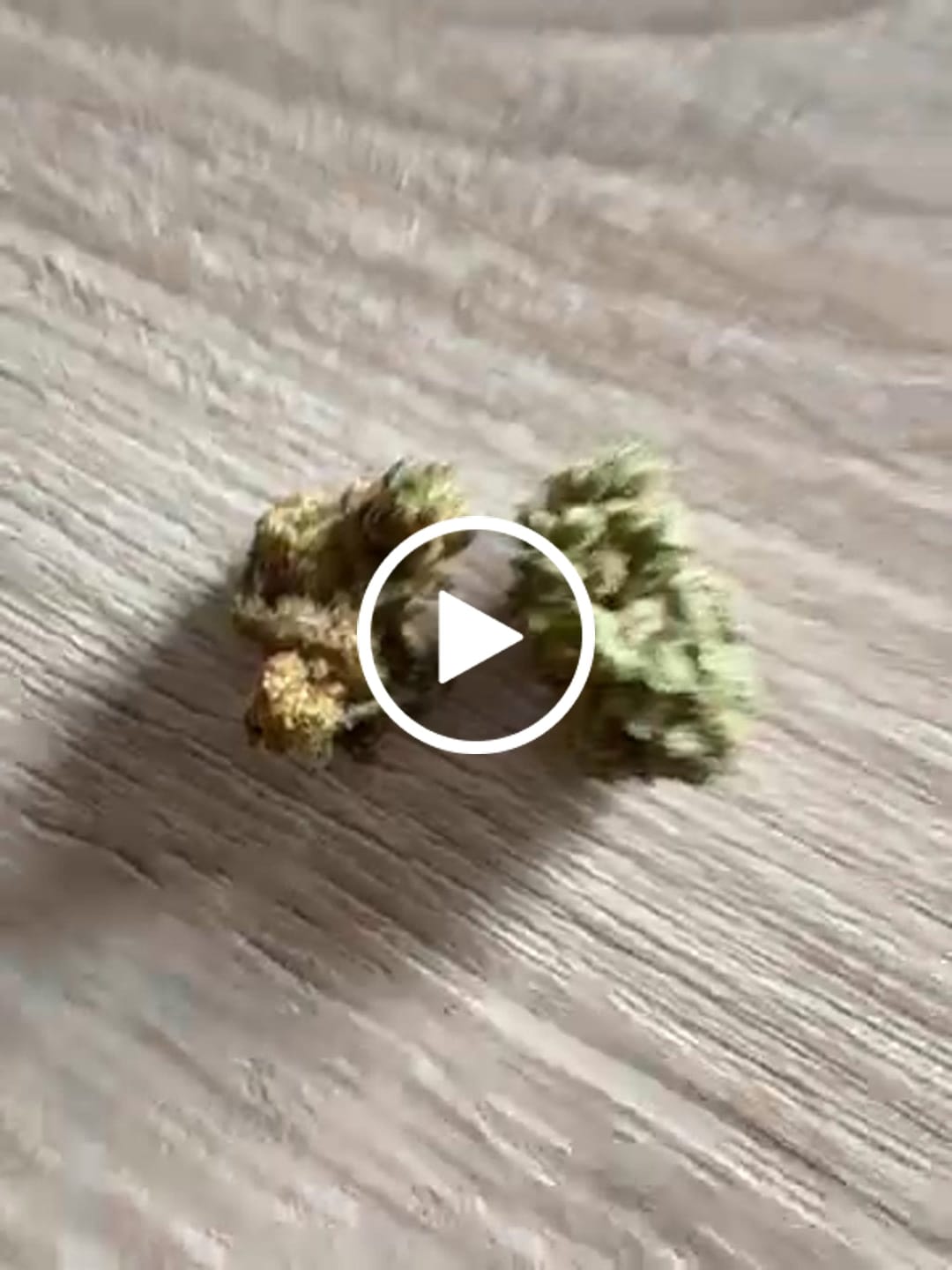 Customer video review of Lemon Haze