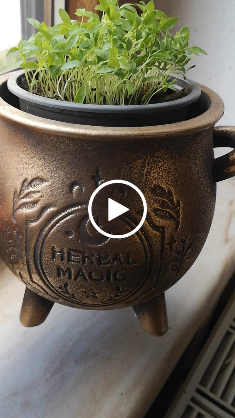 Customer video review of Herbal Magic Kessel-Blumentopf – Terrakotta Pflanzenkessel in Bronzeoptik