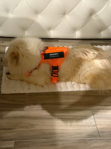 Customer photo review of 4MBH Harness Exchanges