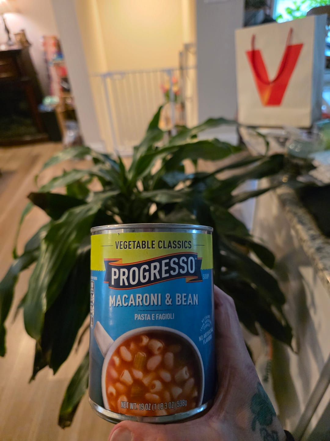 Customer photo review of Progresso Vegetable Classics Soup Macaroni & Beans - 19 OZ 12 Pack