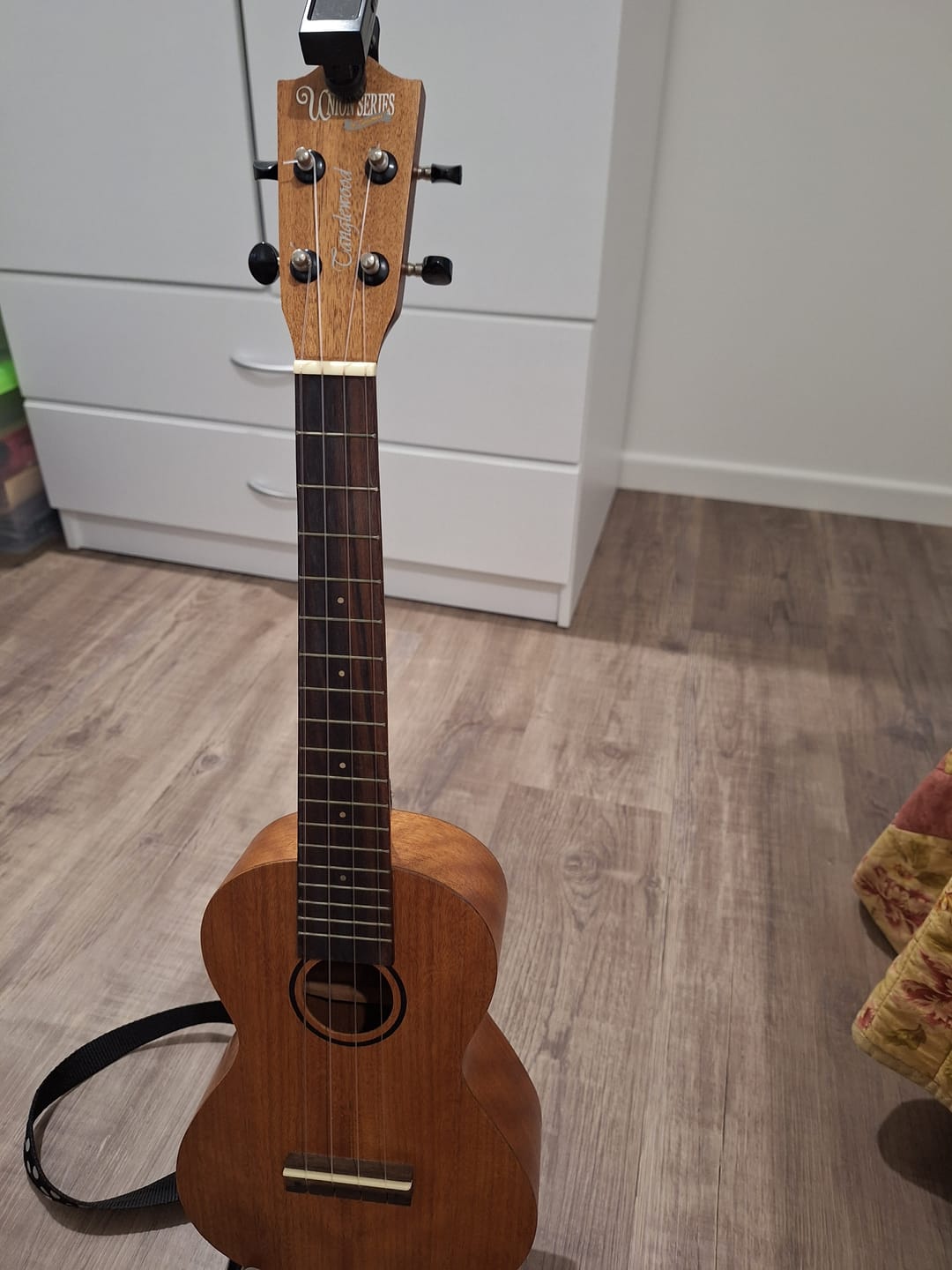 Customer photo review of CT-LG Worth Clear Low G Tenor Ukulele Strings Fluorocarbon 2 Restrings per Packet