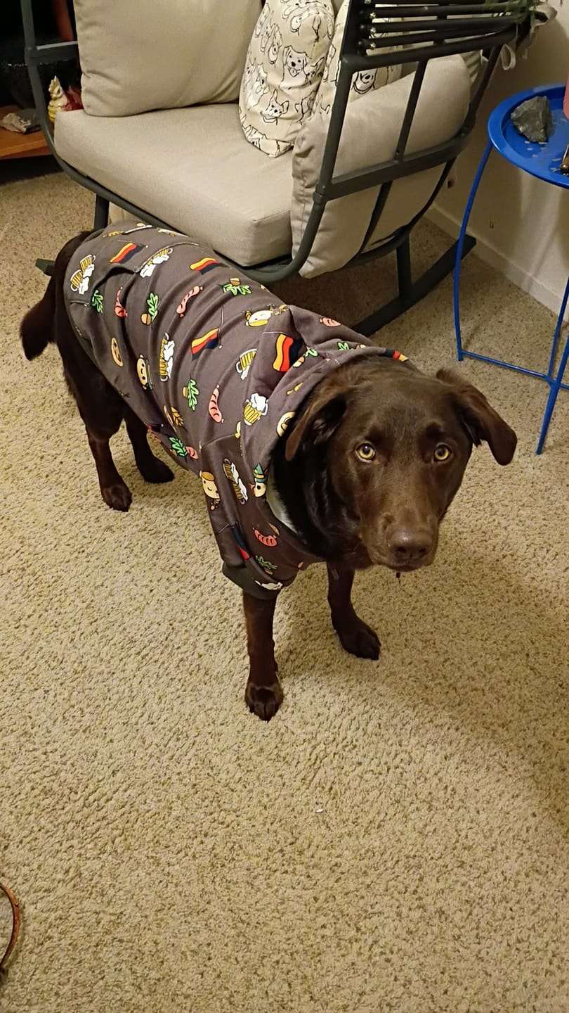 Customer photo review of The Germany Dog Hoodie - Dark Brown
