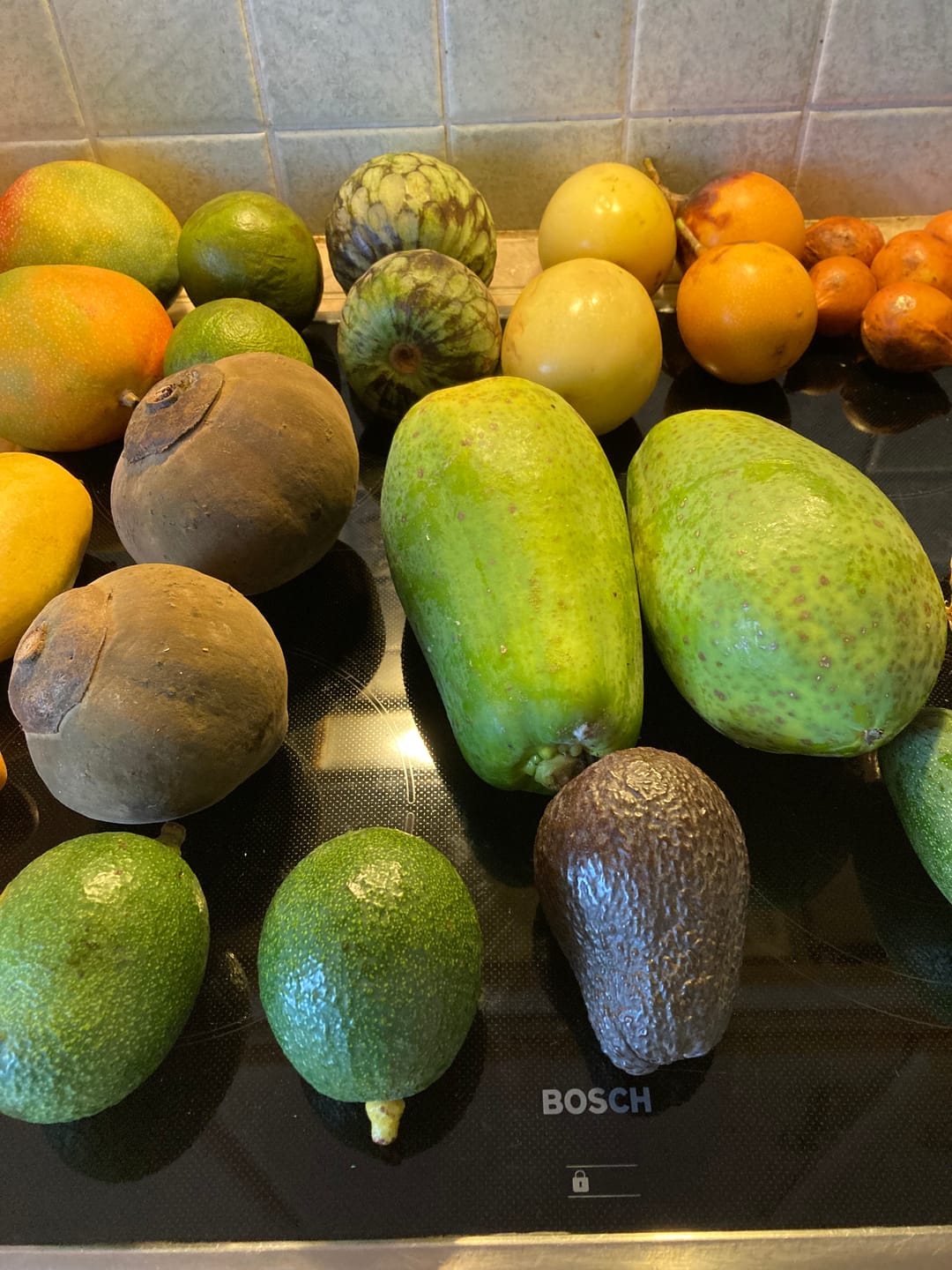 Customer photo review of Avocado Fuerte 13 Monate baumgereift von Julian Aktionspreis %