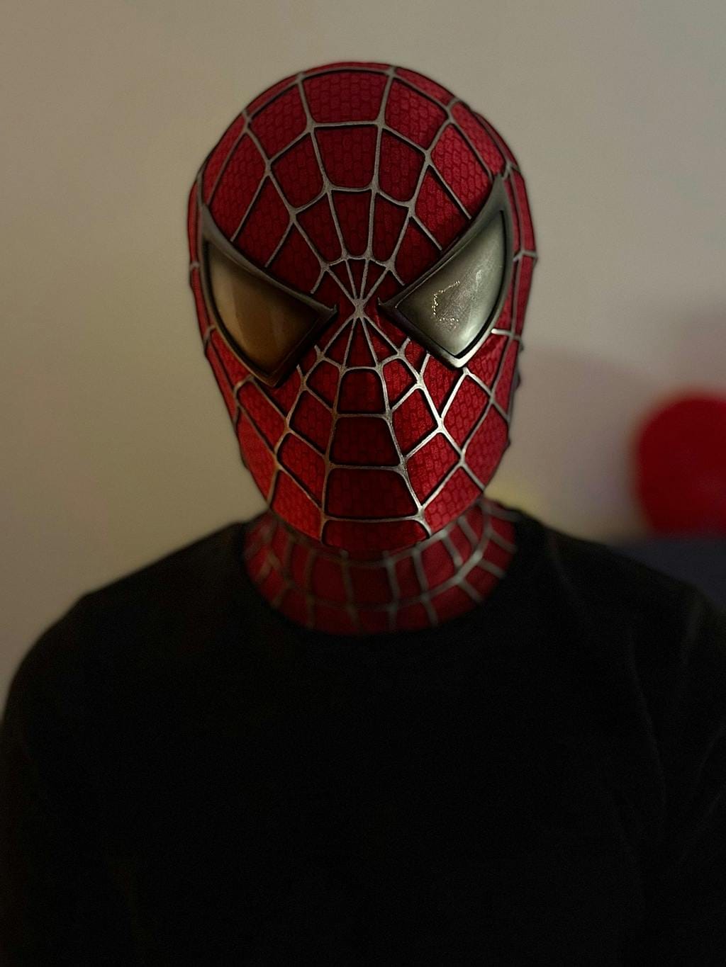 Customer photo review of Masque Spiderman - Tobey Maguire