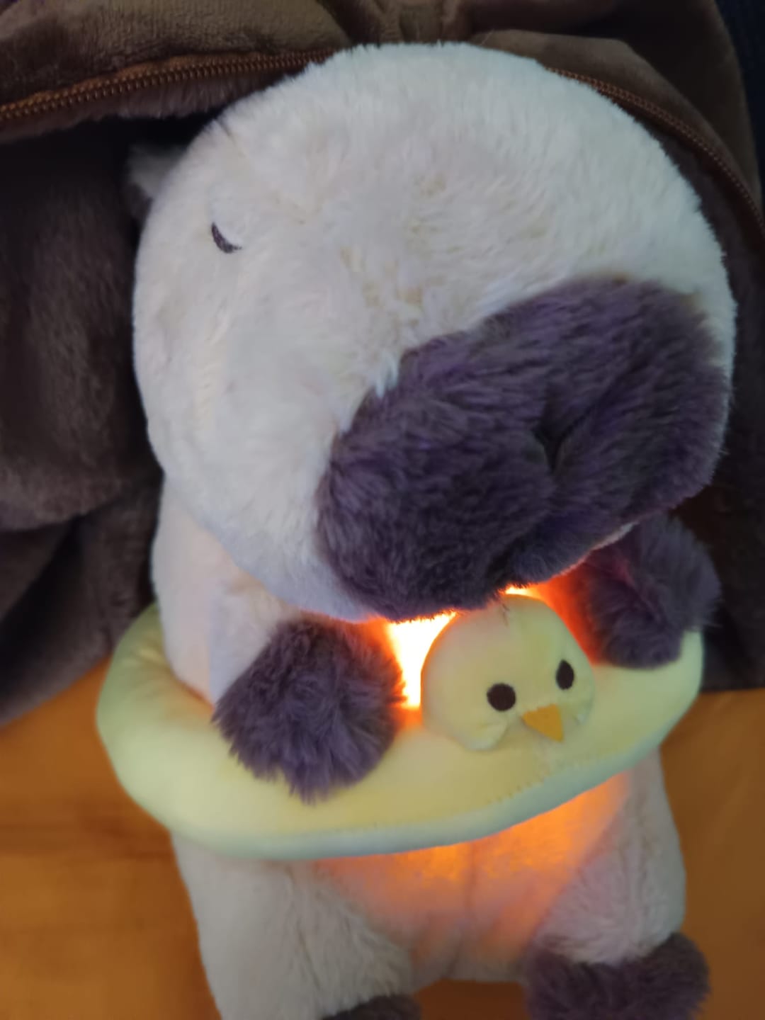 Customer photo review of Premium Breathing Anti-Stress Capybara
