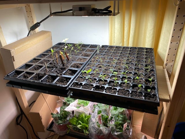 Customer photo review of QuickPot Anzuchtplatten