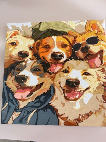 Customer photo review of Five Paws, Five Personalities