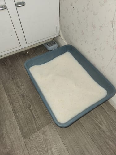 Customer photo review of Fit Litter