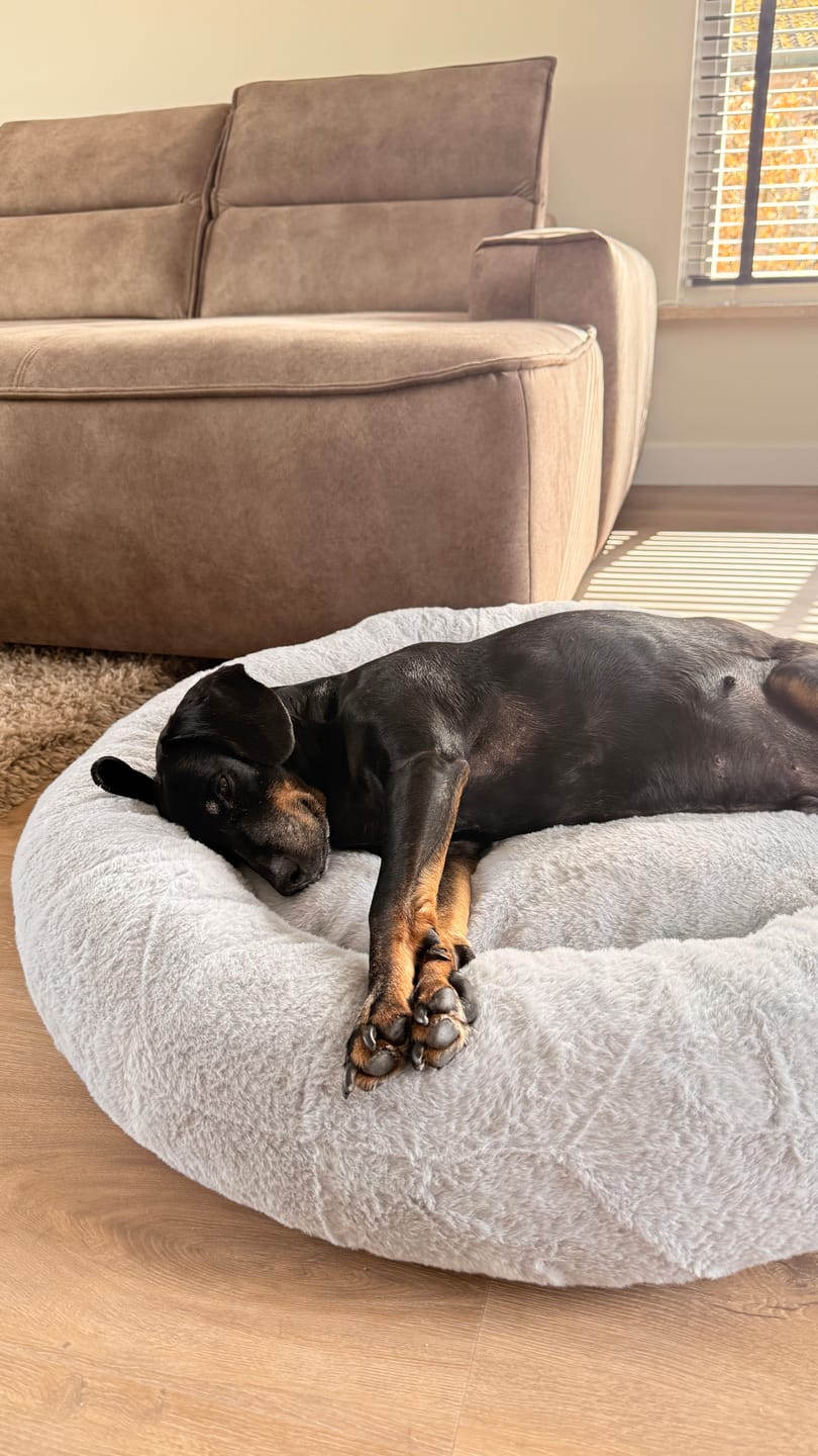 Customer photo review of Pet Perfect Hoes (ENKEL HOES) voor Orthopedische Donutmand - ZONDER VULLING