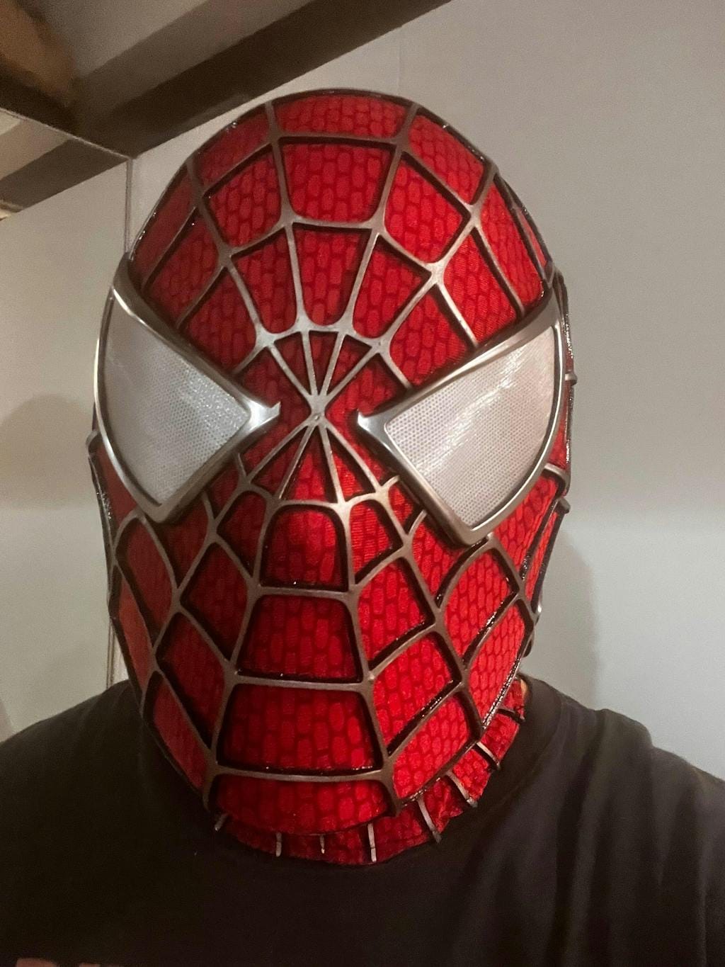 Customer photo review of Masque Spiderman - Tobey Maguire