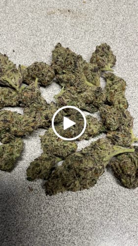 Customer video review of Cali Kush Flower