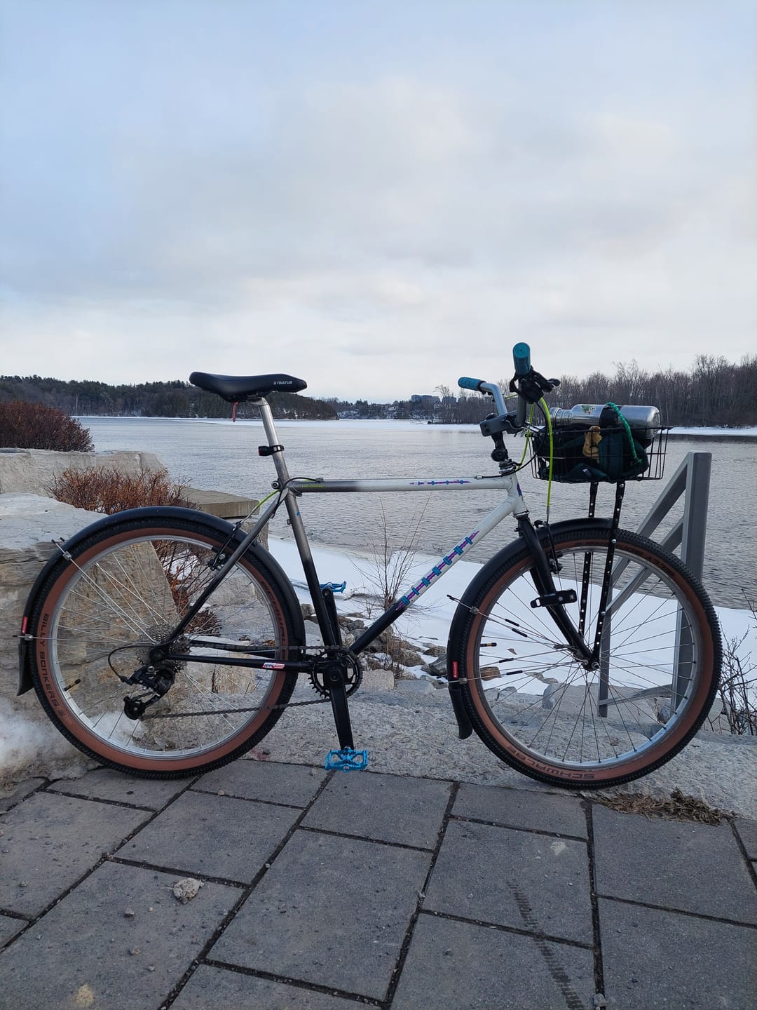 Customer photo review of Panier Avant Wald Front Basket - Small
