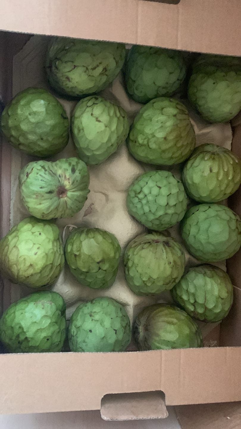Customer photo review of Cherimoya Bio Hochernte-Retterbox Sonderaktion % 4kg