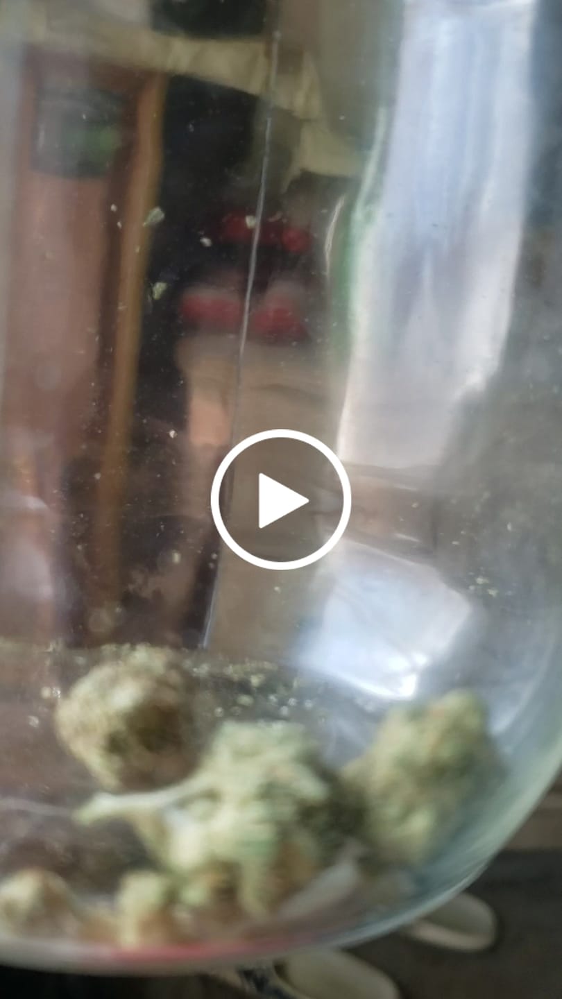 Customer video review of Indoor Micros