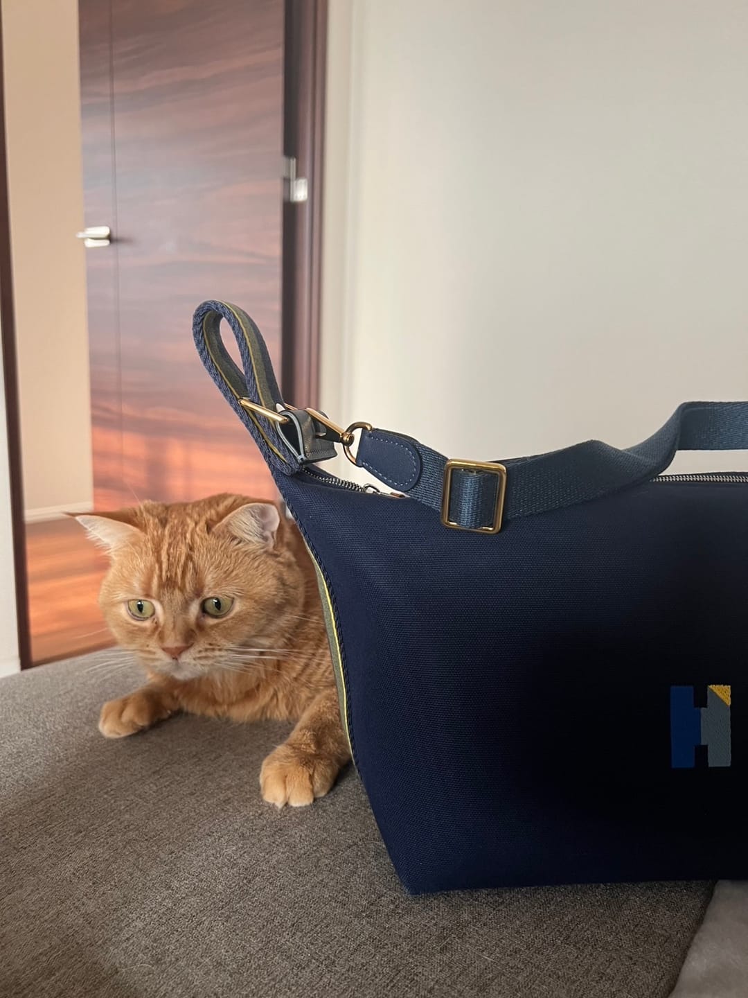 Customer photo review of With Me for ブリッドアブラック