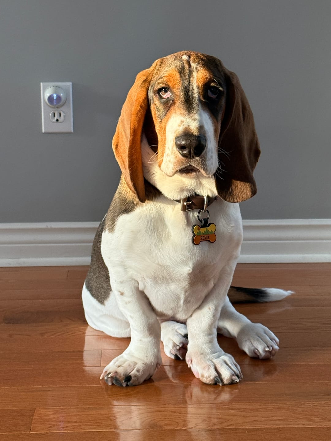 Customer photo review of 12 Inch Trachea Wrapped in Jerky