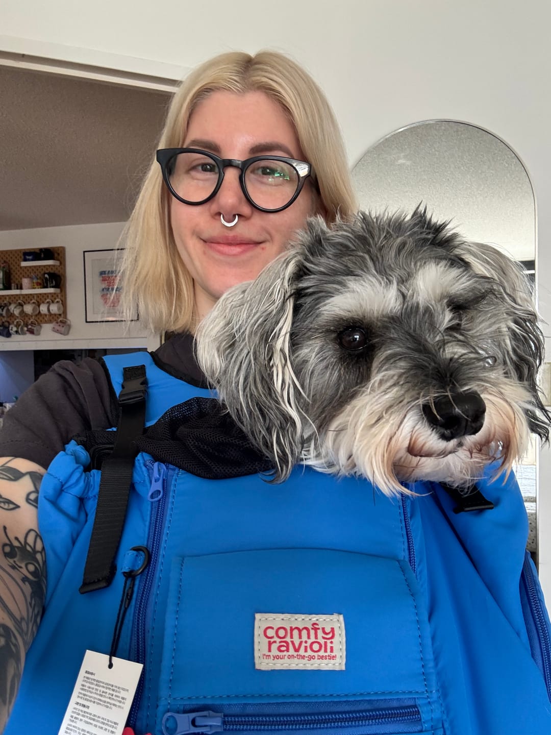 Customer photo review of Ten-Mile Pet Carrier Bag (3 colors)