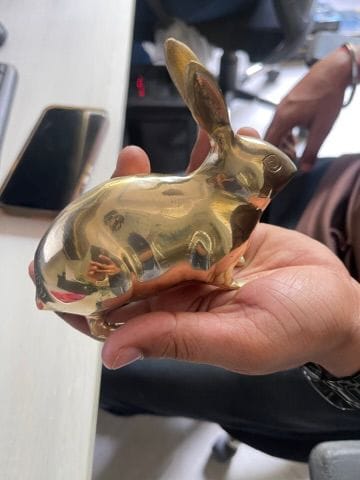 Customer photo review of Golden Rabbit Brass Idol – Auspicious Vastu Remedy for Wealth Attraction & Prosperity | Ideal for North Direction, Office Desk & Home Entrance | 13 x 4.5 x 11.5 cm | 670 g
