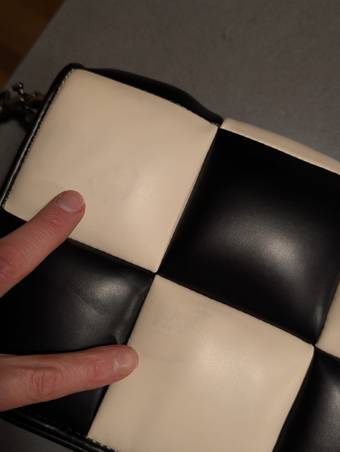 Customer photo review of The Cali - Our Mini Camera Bag