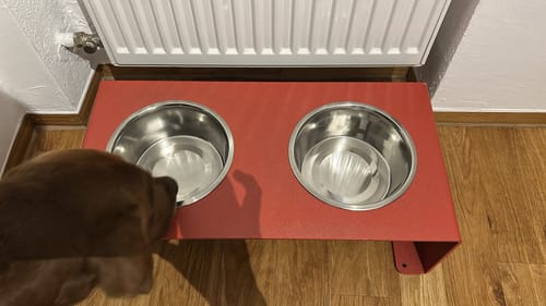 Customer photo review of Wilma - Futterstation aus Metall für Hunde und Katzen