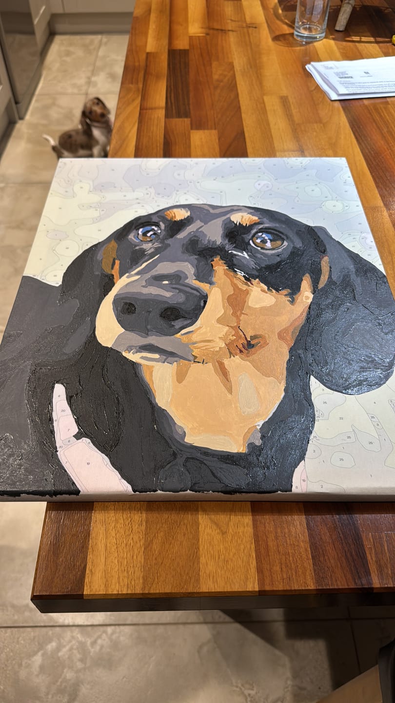 Customer photo review of Custom Kit | Paint by Numbers