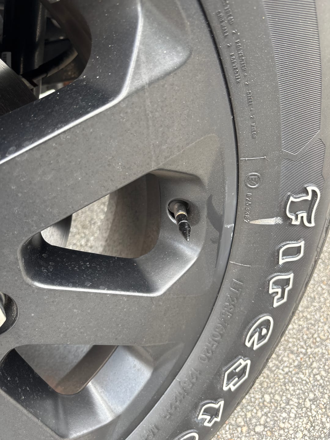 Customer photo review of Spiked Valve Stem Caps