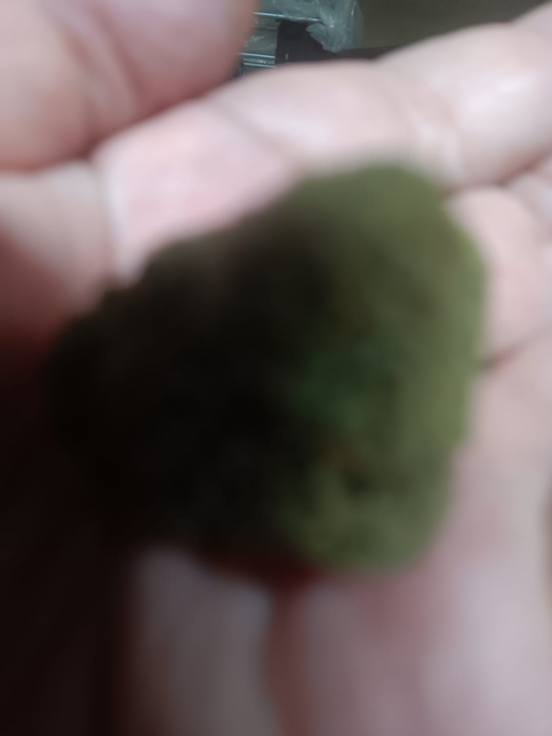 Customer photo review of AVENTUS8 THC-A FLOWER LEMON CHERRY GELATO 28G -  1 ounce - Hybrid