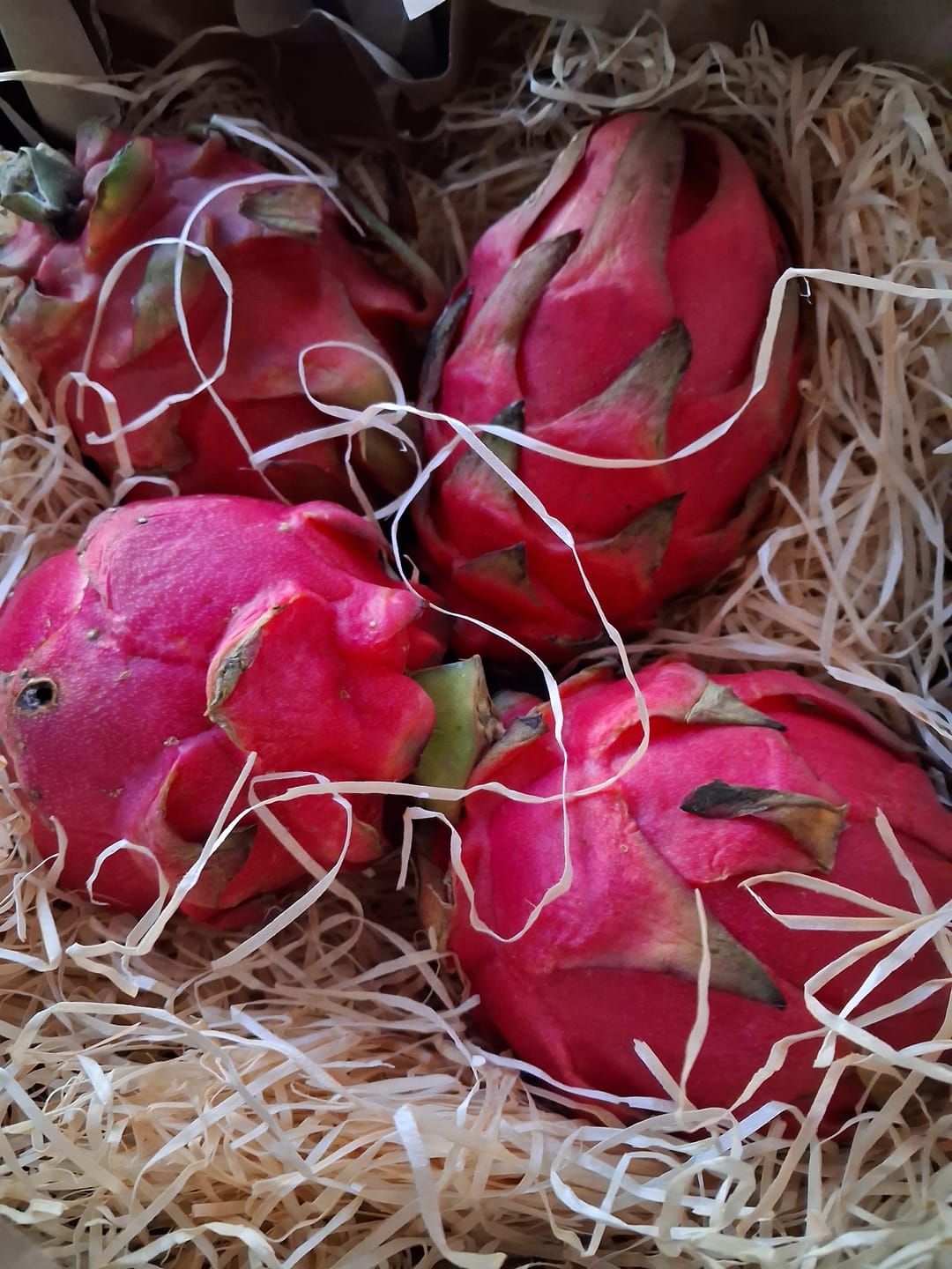 Customer photo review of Drachenfrucht rot von Julian Aktionswoche