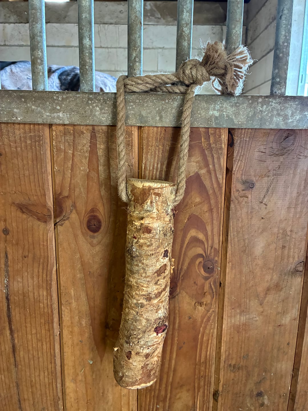 Customer photo review of Knusperholz - limitiert! Der natürliche Knabberspaß für dein Pferd