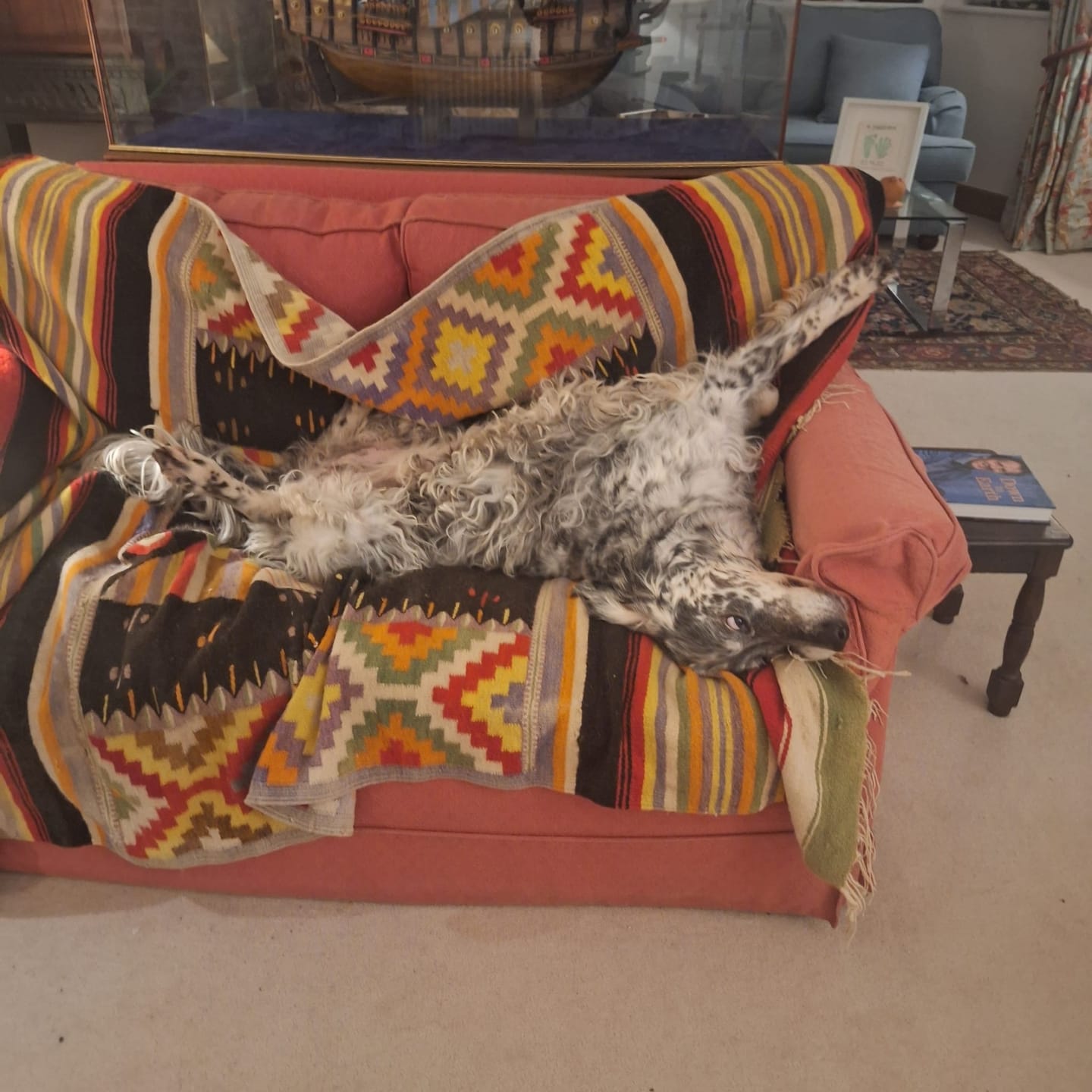Customer photo review of Total Calm Treats For Dogs