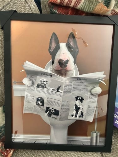 Customer photo review of Important meeting - Personalised Poster