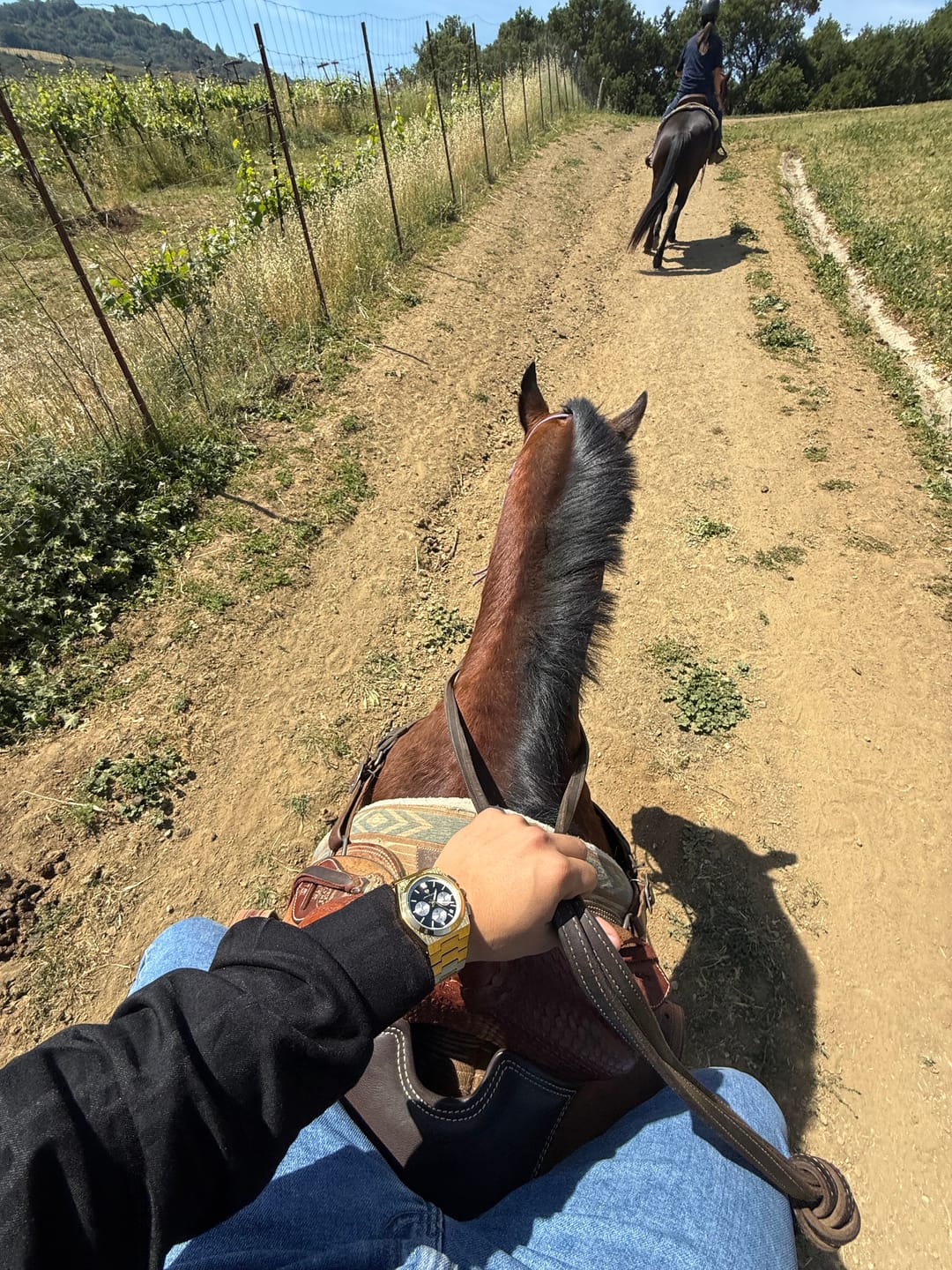 Customer photo review of Lucky Fours® Prague